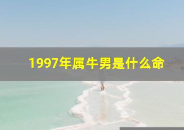 1997年属牛男是什么命