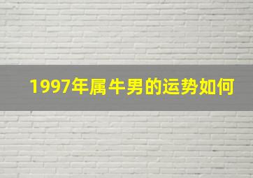 1997年属牛男的运势如何