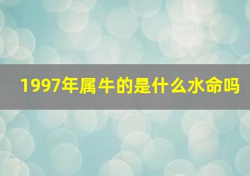 1997年属牛的是什么水命吗