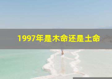 1997年是木命还是土命