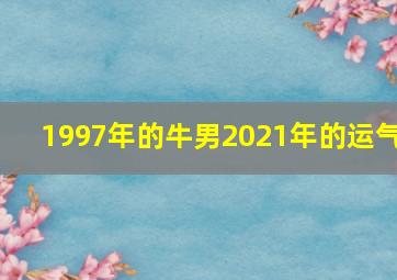 1997年的牛男2021年的运气