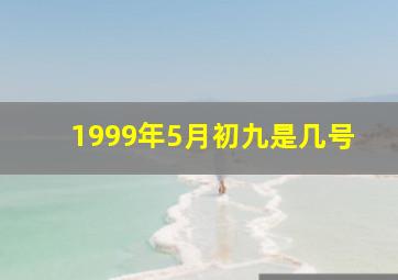 1999年5月初九是几号