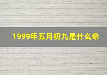 1999年五月初九是什么命