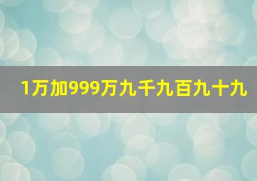 1万加999万九千九百九十九