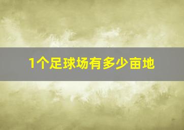 1个足球场有多少亩地