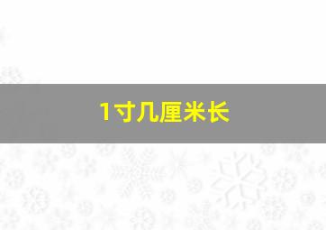 1寸几厘米长