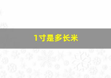 1寸是多长米