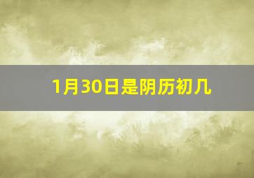 1月30日是阴历初几