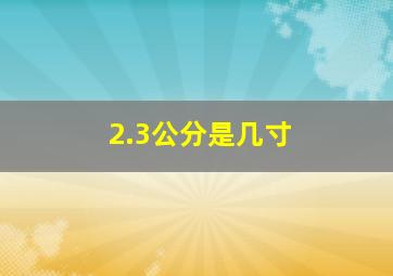 2.3公分是几寸