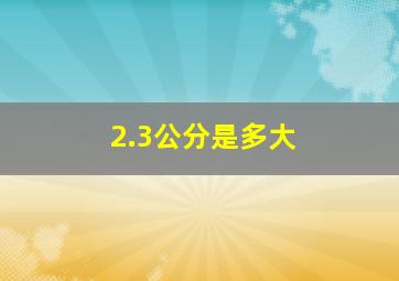 2.3公分是多大