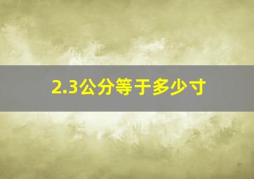 2.3公分等于多少寸