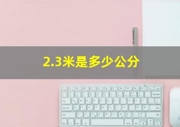 2.3米是多少公分