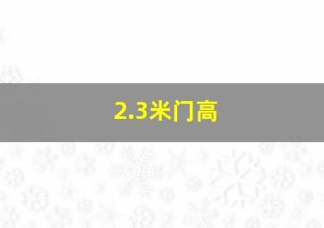 2.3米门高