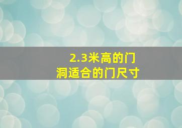 2.3米高的门洞适合的门尺寸