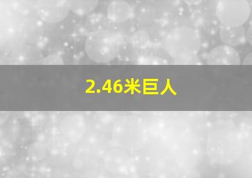 2.46米巨人