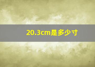 20.3cm是多少寸