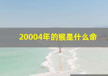 20004年的猴是什么命