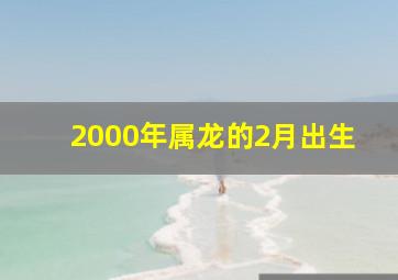 2000年属龙的2月出生