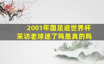 2001年国足进世界杯采访老球迷了吗是真的吗