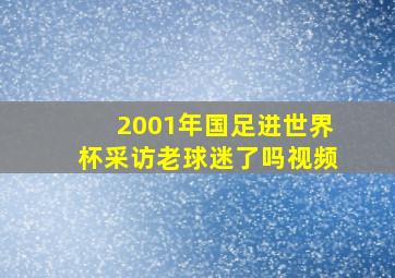 2001年国足进世界杯采访老球迷了吗视频