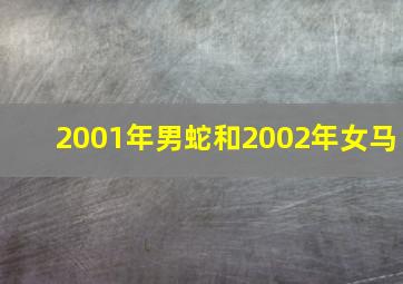 2001年男蛇和2002年女马