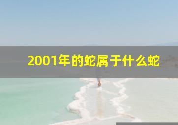 2001年的蛇属于什么蛇