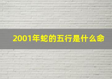 2001年蛇的五行是什么命