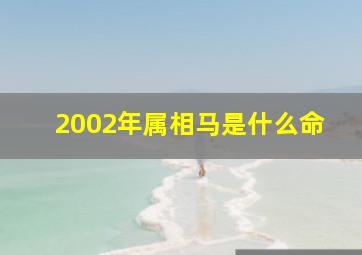 2002年属相马是什么命