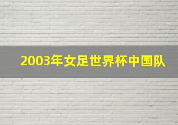 2003年女足世界杯中国队