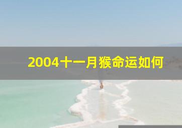 2004十一月猴命运如何