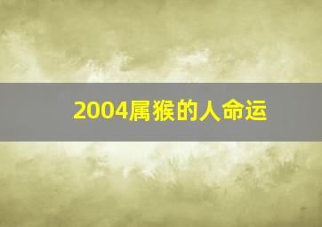 2004属猴的人命运