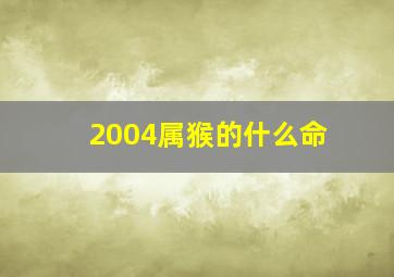 2004属猴的什么命