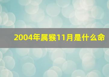 2004年属猴11月是什么命