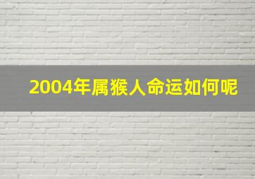 2004年属猴人命运如何呢