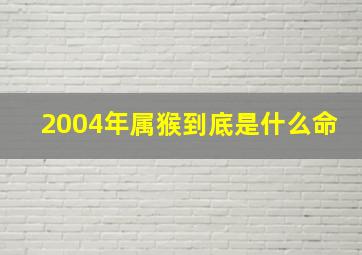 2004年属猴到底是什么命