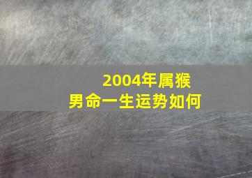 2004年属猴男命一生运势如何