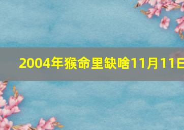 2004年猴命里缺啥11月11曰