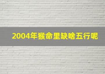 2004年猴命里缺啥五行呢