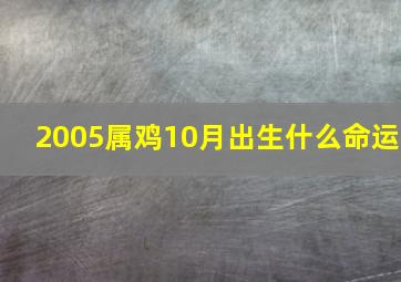 2005属鸡10月出生什么命运