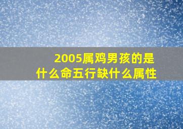 2005属鸡男孩的是什么命五行缺什么属性