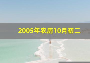 2005年农历10月初二