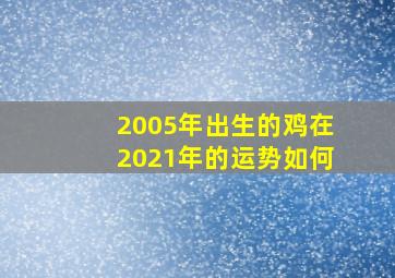 2005年出生的鸡在2021年的运势如何