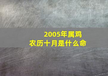 2005年属鸡农历十月是什么命