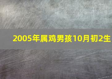 2005年属鸡男孩10月初2生