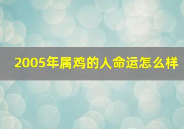 2005年属鸡的人命运怎么样