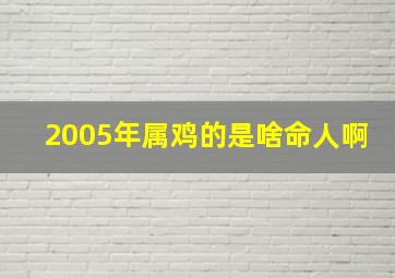 2005年属鸡的是啥命人啊