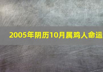 2005年阴历10月属鸡人命运