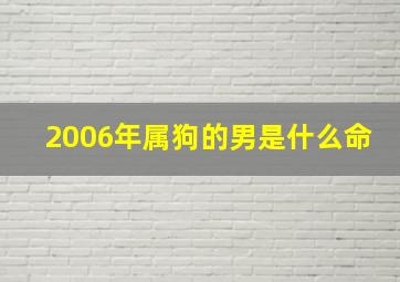 2006年属狗的男是什么命