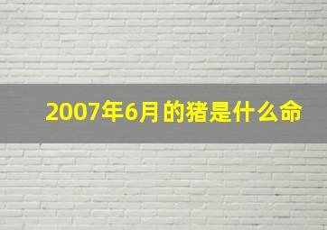 2007年6月的猪是什么命