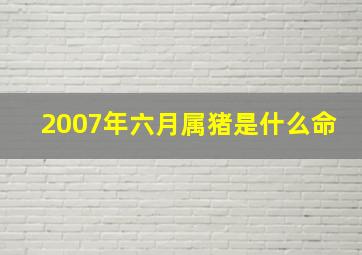 2007年六月属猪是什么命